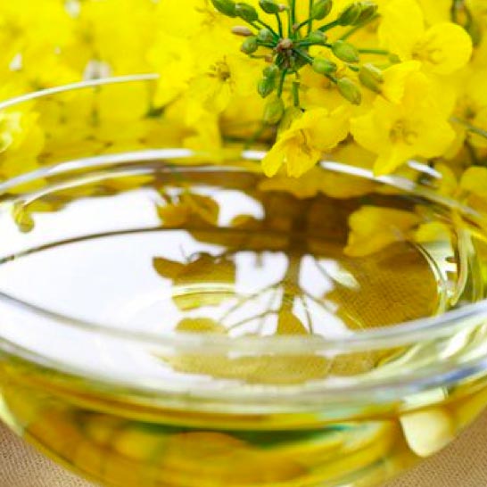 Canola Oil 100 tbsp Canola Oil