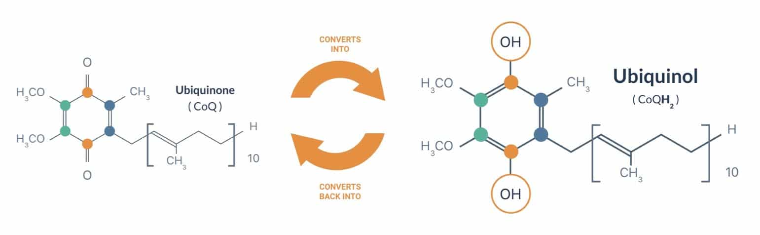 Schema of Coenzyme Q10 forms in Ubiquinone and Ubiquinol