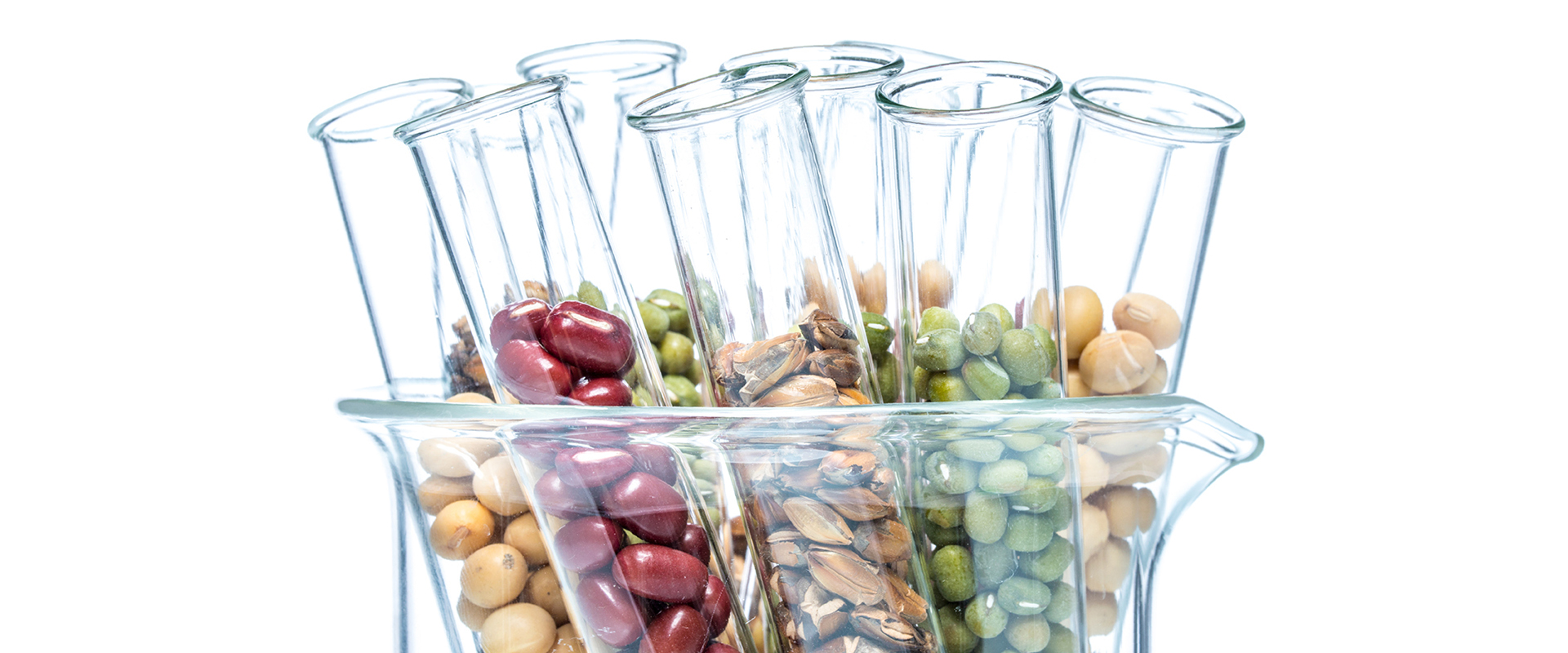 Are Plant Based Diets Good For You 